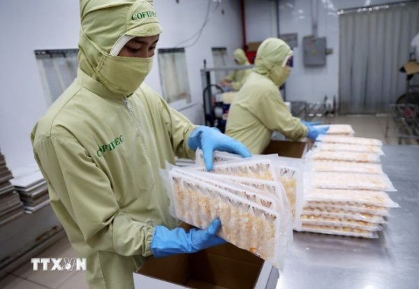 Việt Nam xuất khẩu dưới nước chậm giữa những thách thức không thể đoán trước